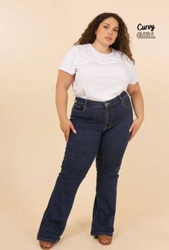 Picture of CURVY GIRL FLARED STRETCH BLUE JEANS